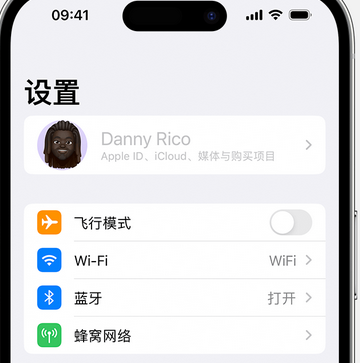 汉寿appleID维修服务iPhone设置中Apple ID显示为灰色无法使用