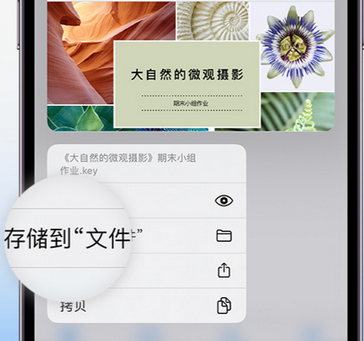 汉寿apple维修中心分享iPhone文件应用中存储和找到下载文件