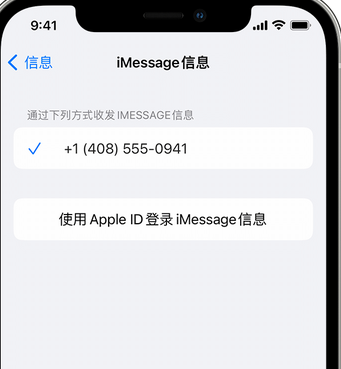 汉寿apple维修iPhone上无法正常发送iMessage信息 