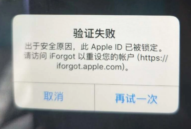 汉寿iPhone维修分享iPhone上正常登录或使用AppleID怎么办 