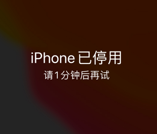 汉寿苹果手机维修分享:iPhone 显示“不可用”或“已停用”怎么办？还能保留数据吗？ 