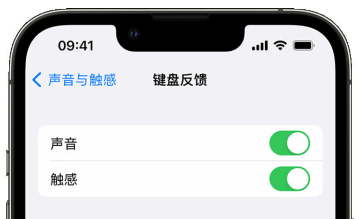 汉寿苹果手机维修分享iPhone 14触感键盘使用方法 