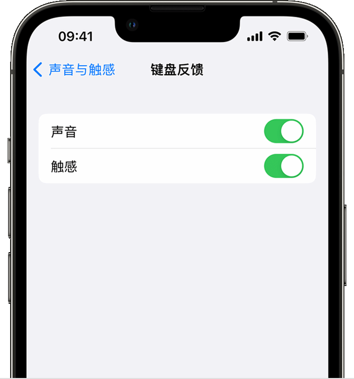 汉寿苹果14维修店分享如何在 iPhone 14 机型中使用触感键盘 