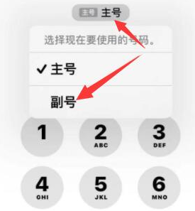 汉寿苹果14维修店分享iPhone 14 Pro Max使用副卡打电话的方法 