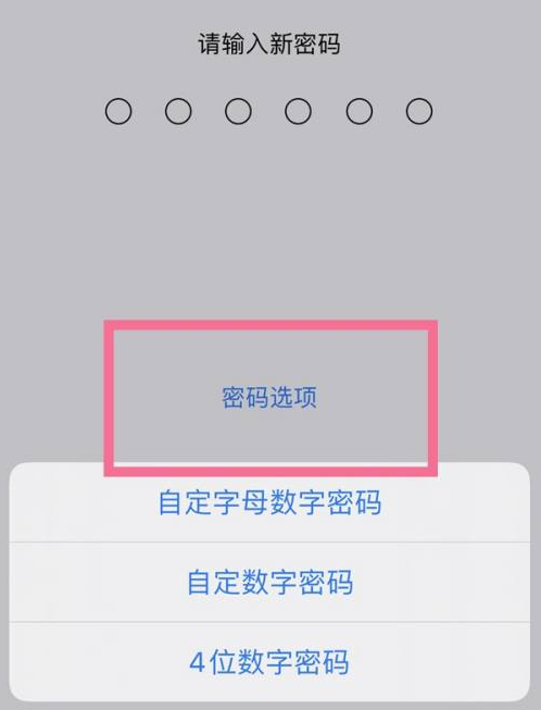 汉寿苹果14维修分享iPhone 14plus设置密码的方法 