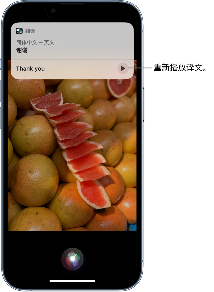 汉寿苹果14维修分享 iPhone 14 机型中使用 Siri：了解 Siri 能帮你做什么 