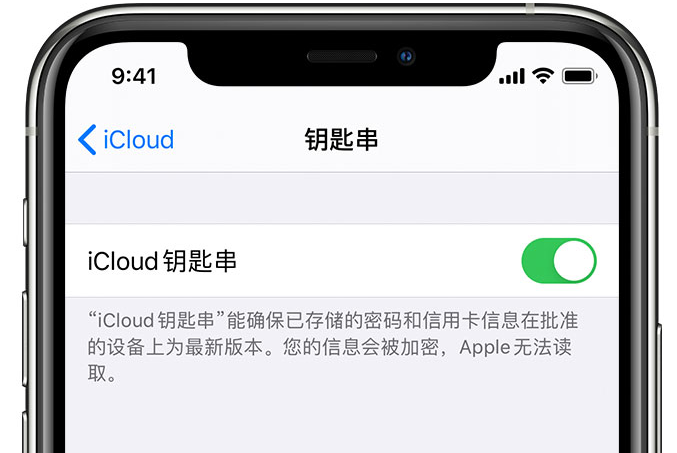 汉寿苹果手机维修分享在 iPhone 上开启 iCloud 钥匙串之后会储存哪些信息 