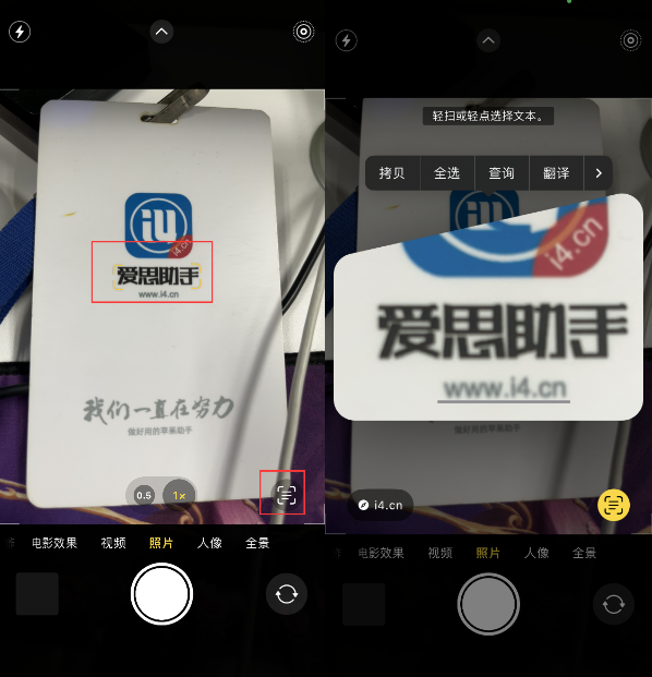 汉寿苹果手机维修分享升级iOS 16后如何通过相机翻译文本 