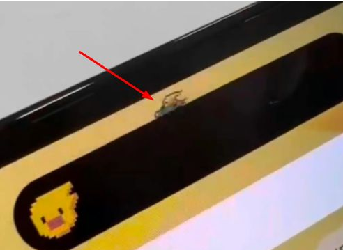 汉寿苹果14维修分享iPhone 14 Pro Max灵动岛怎么养宠物 