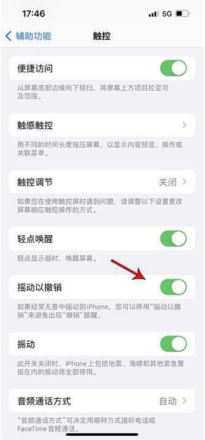 汉寿苹果手机维修分享iPhone手机如何设置摇一摇删除文字 