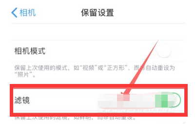 汉寿苹果13维修分享iPhone13拍照有绿点是怎么回事 