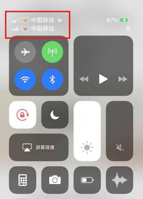 汉寿苹果手机维修分享为 iPhone 12 双卡设置标签 